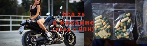 гашиш Касимов