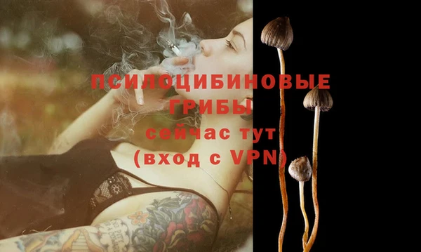 синтетический гашиш Каменногорск