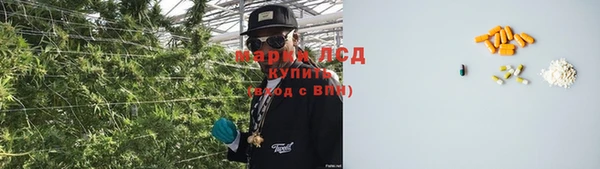 прущий лед Каменка