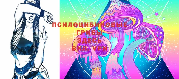 spice Карпинск