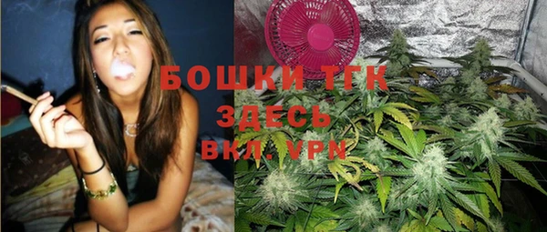 прущий лед Каменка