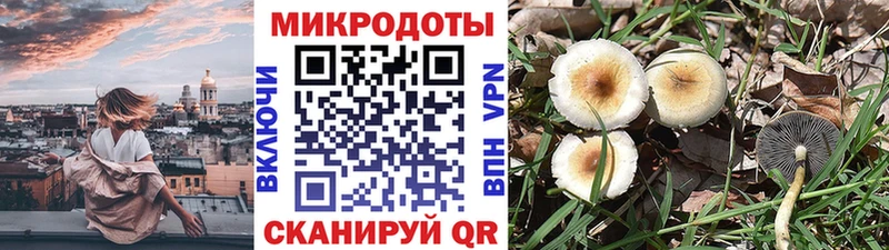Купить  Чебоксары  Галлюциногенные грибы прущие грибы 